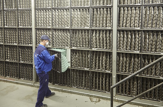 spie-techniker-mÃ¤nnlich-fÃ¼hrt-arbeit-an-heizungs-lÃ¼ftungs-und-sanitÃ¤rtechnik-durch