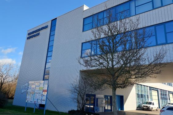 branch image
