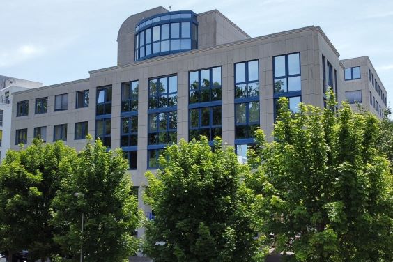 branch image
