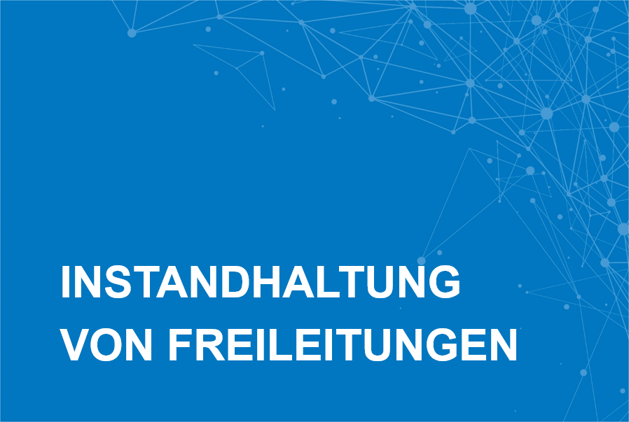 Instandhaltung Freileitungen