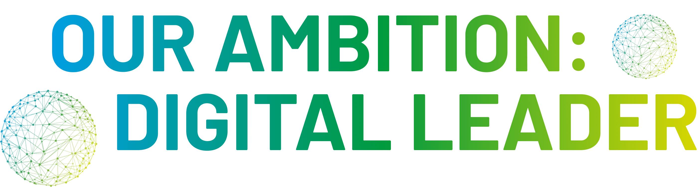 DigitalLeader_EN
