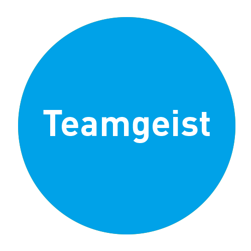 teamgeist