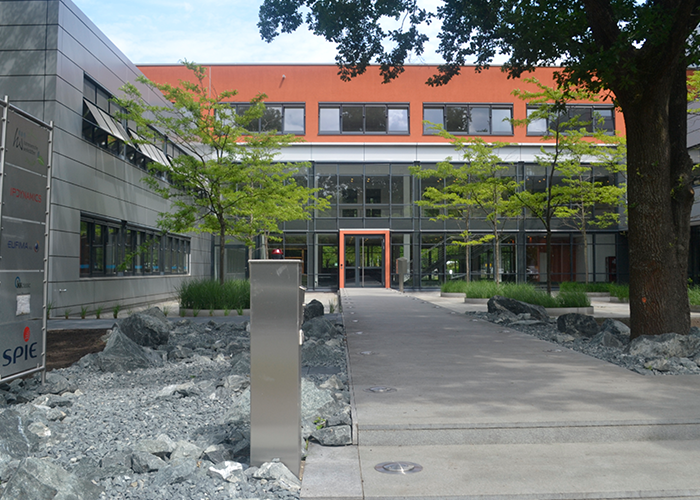 branch image