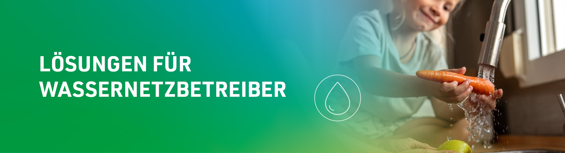 SPIE_header_Lösungen für Stromnetzbetreiber