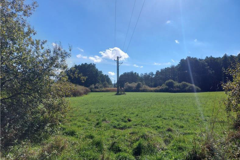 Freileitung_Bildnachweis SPIE