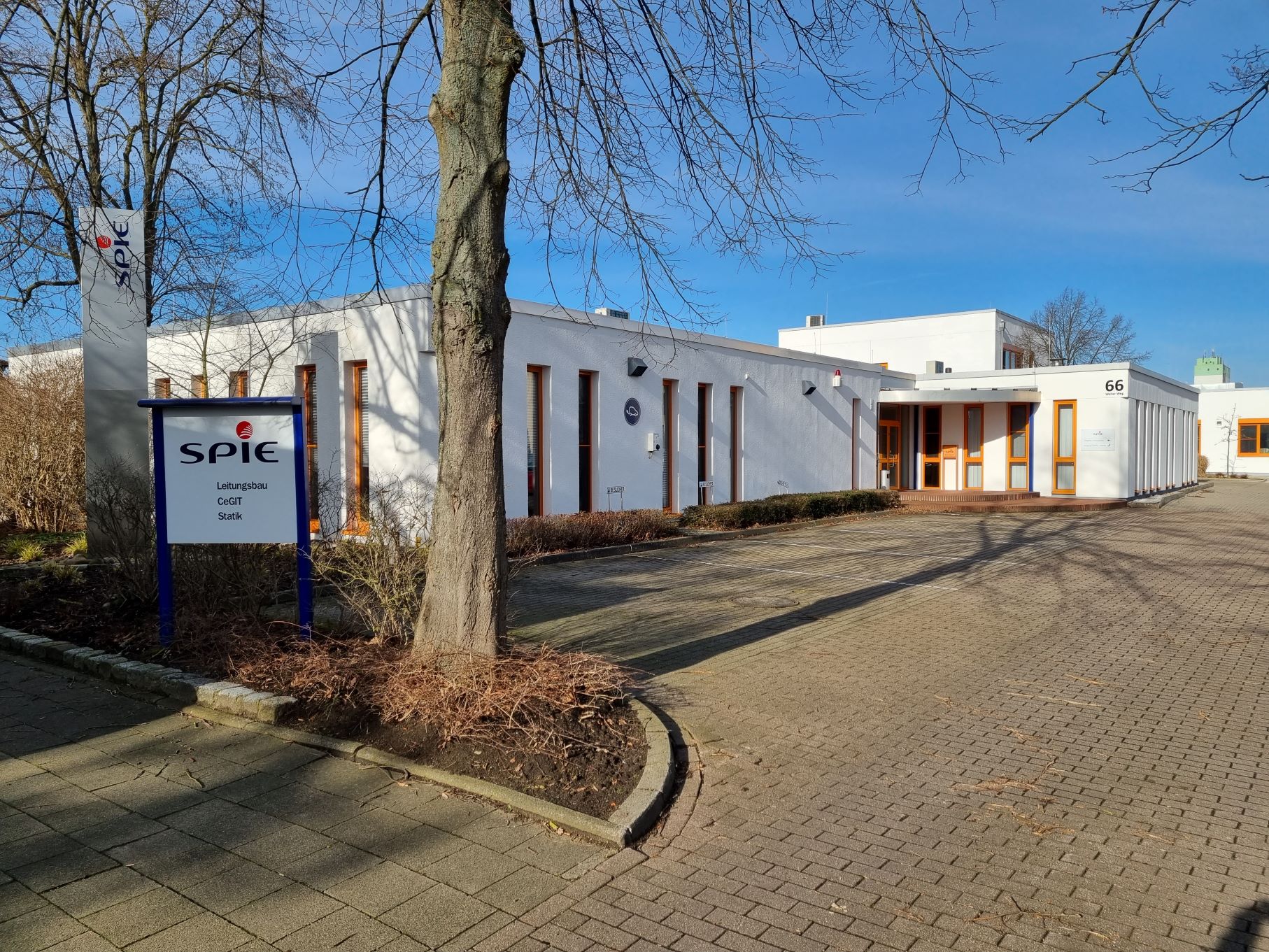 branch image