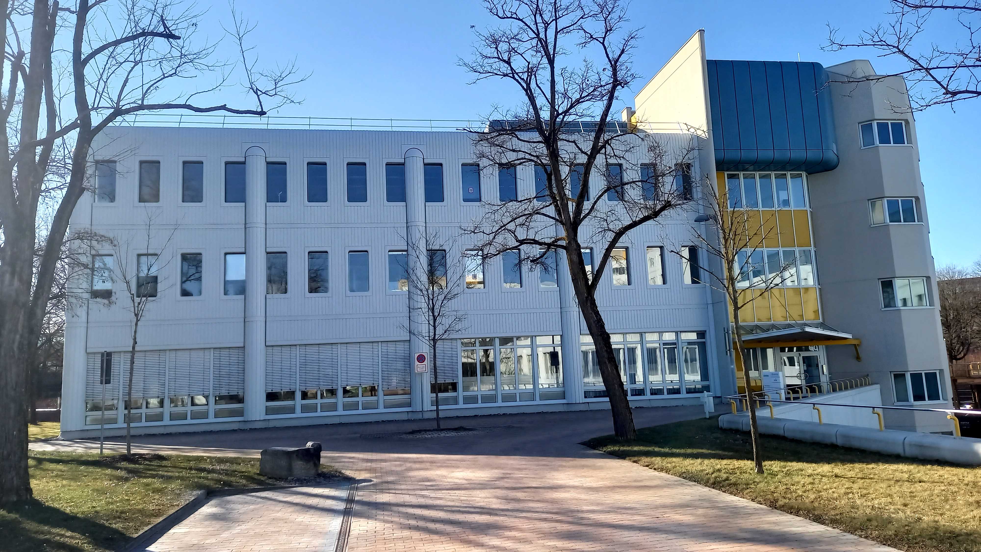 branch image
