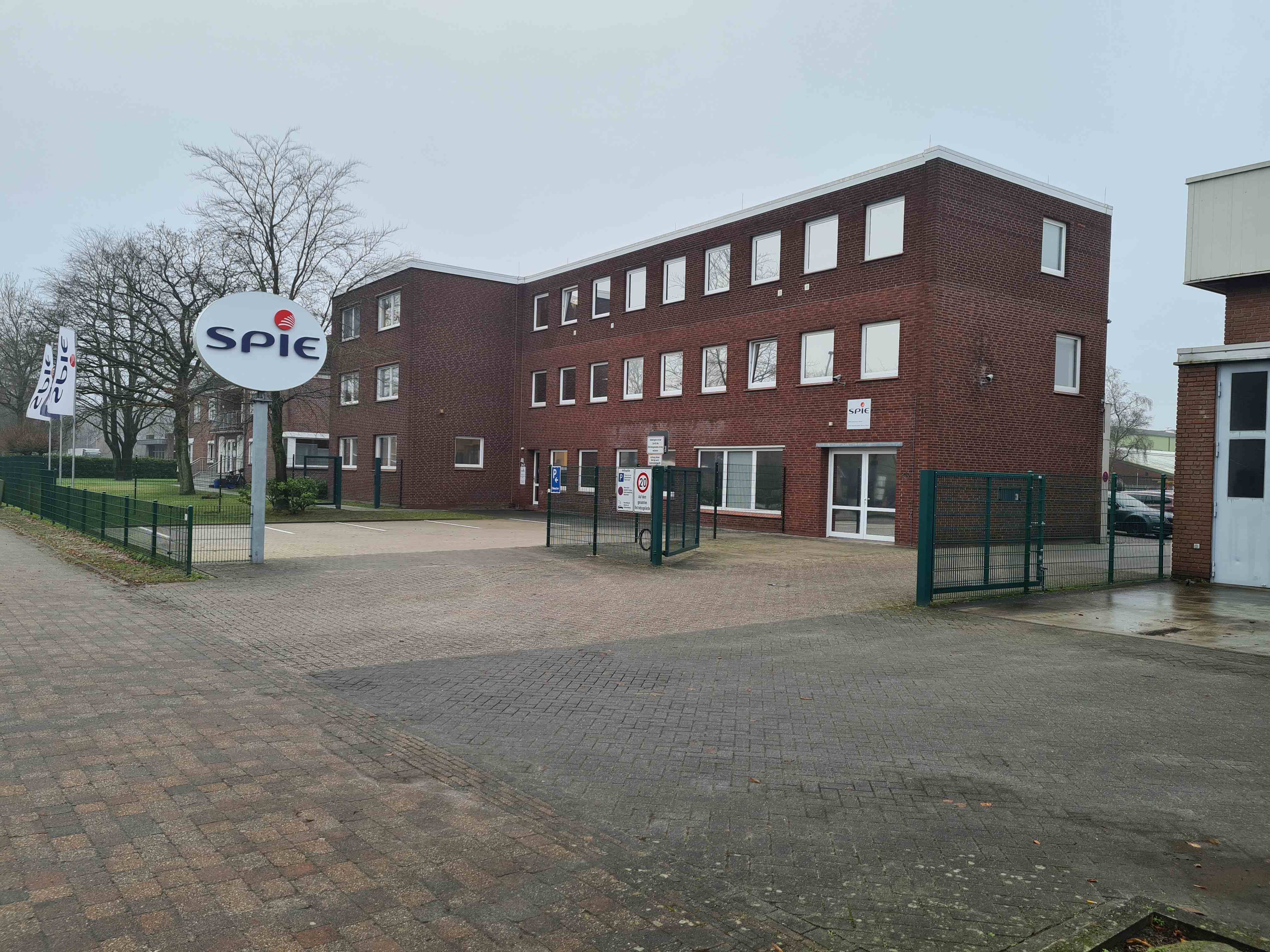 branch image