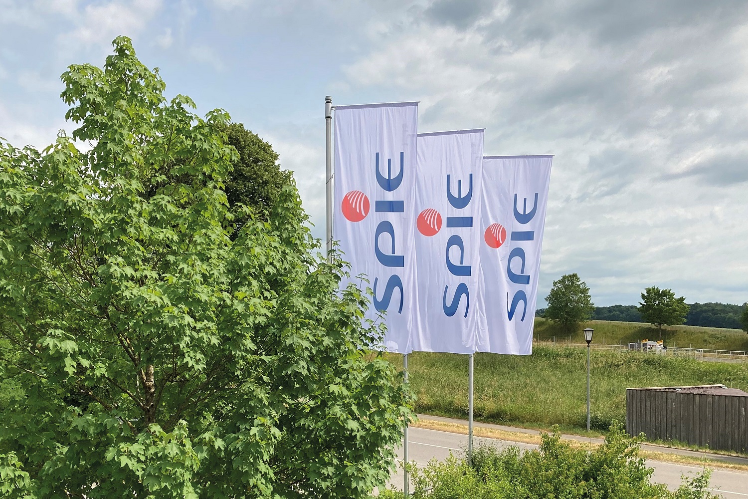 branch image