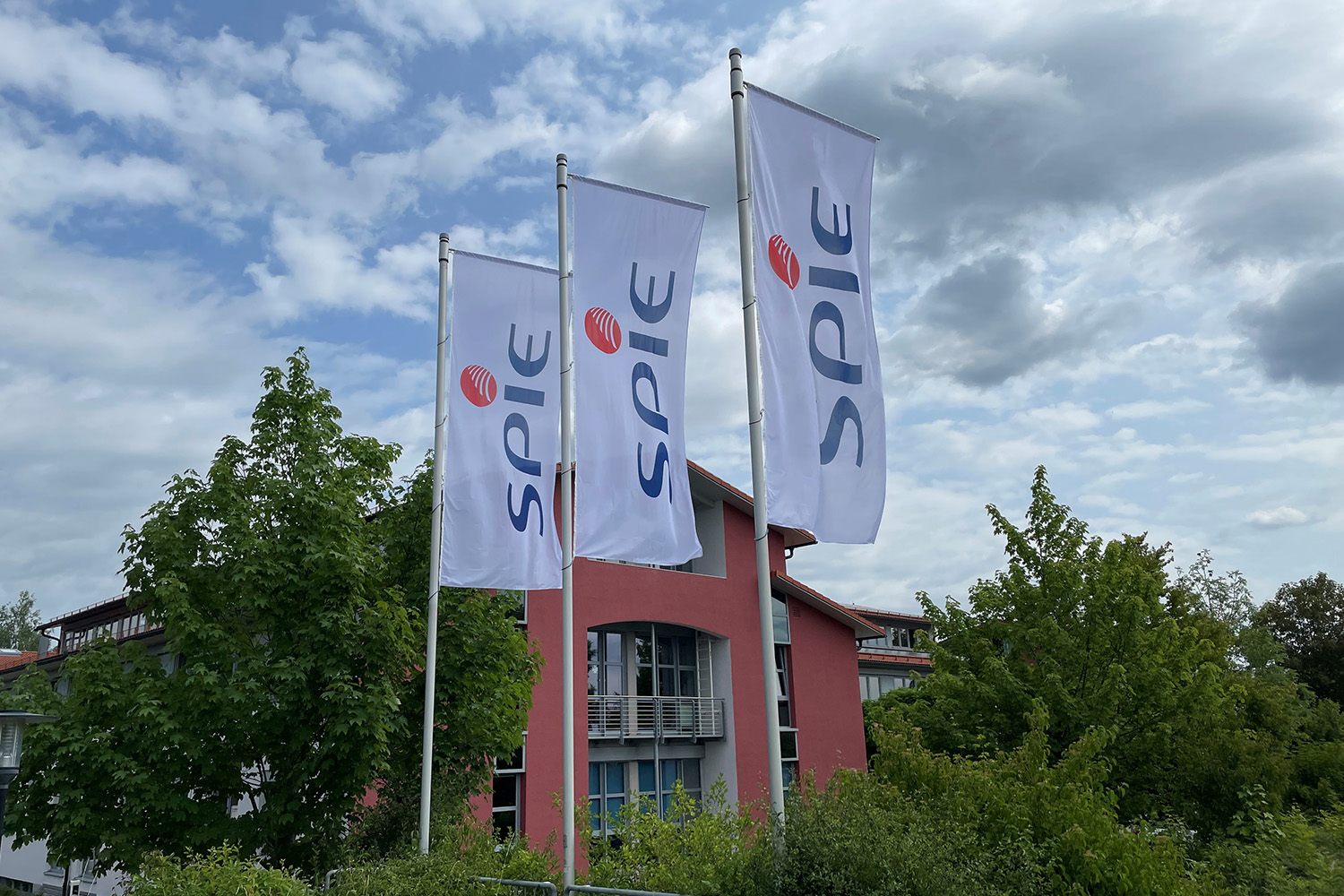 branch image